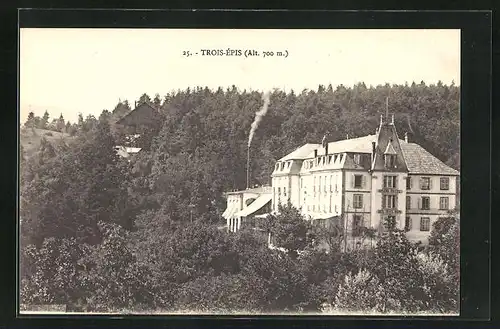 AK Trois-Épis, Grand Hôtel Des Trois Rois