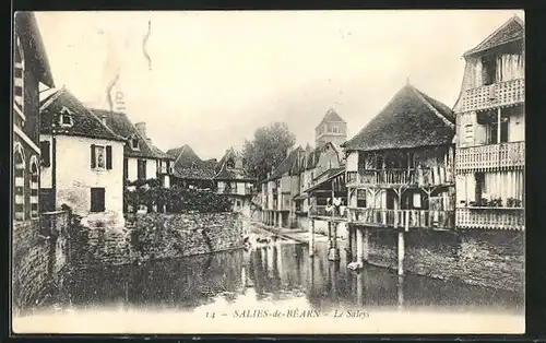 AK Salies-de-Bearn, Le Saleys