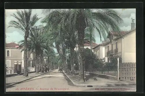 AK Hyéres, Avenue de Beauregard