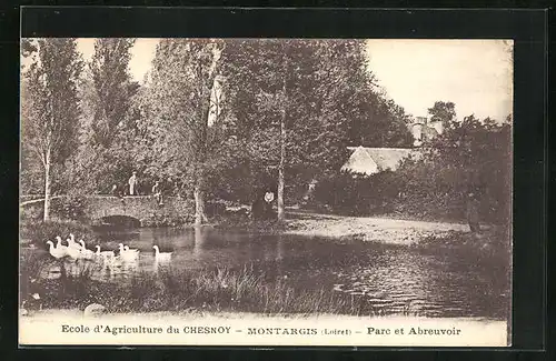 AK Montargis, Ecole d'Agriculture du Chesnoy, Parc et Abreuvoir