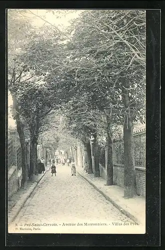 AK Pré-Saint-Gervais, Avenue des Marronniers, Villas des Prés