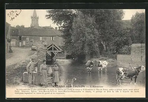 AK Aillant-sur-Tholon, L'Abreuvoir, Kuh