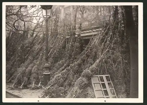 Fotografie Ansicht Paris, Tannenbaumverkauf auf dem Blumenmarkt