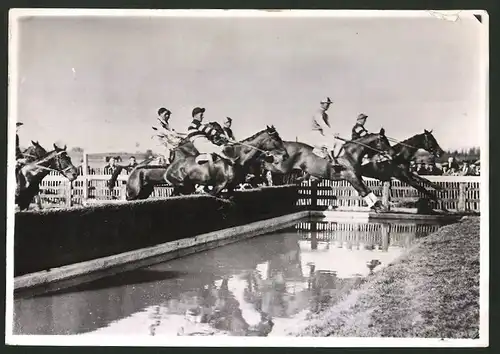 Fotografie Nationales Jagdrennen in Cheltenham, Pferdesport, Ascot