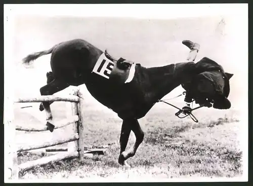 Fotografie Sturz bei Hindernissrennen in Greenwich, Conn., Pferdesport