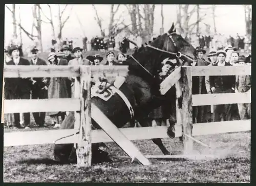 Fotografie Sturz beim Hürdenrennen in Baltimore, Pferdesport