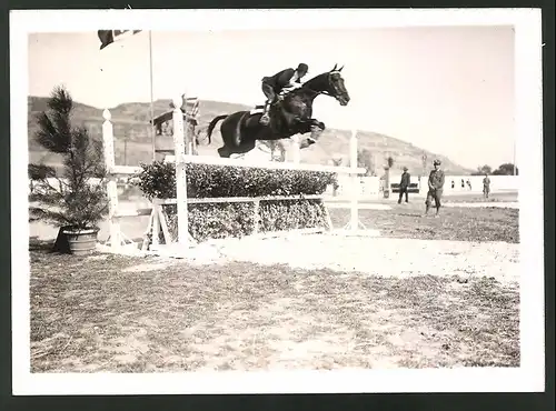Fotografie San Remo Intern. Horse-Race, Baroness Christian Nisco auf Sicambro, Pferdesport