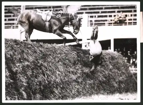 Fotografie Dublin Spring Show, Miss Peggy Morgan Byrne stürzt von ihrem Pferd Ribula