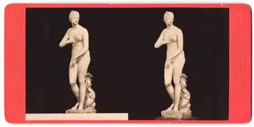 Stereo-Fotografie G. Brogi, Firenze, Lavenere de Medici