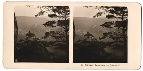 Stereo-Fotografie Ansicht Schwarzburg / Thüringen, Ortsansicht vom Trippstein gesehen