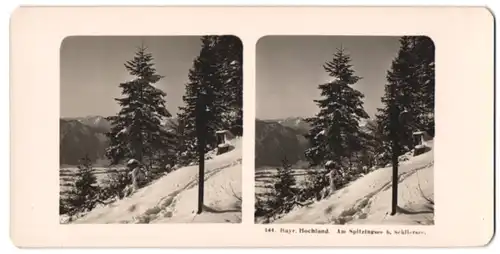 Stereo-Fotografie Ansicht Schliersee, Partie am Spitzingsee im Winter