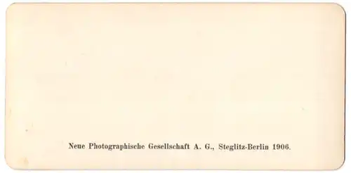 Stereo-Fotografie Neue Photographische Gesellschaft A.G., Berlin, Ansicht Allerheiligen, Eingang zu den Wasserfällen