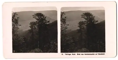 Stereo-Fotografie Ansicht Manebach / Thür., Blick vom Hermannstein