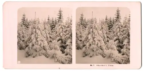 Stereo-Fotografie Ansicht Oberhof / Thür., Winterliche Baumlandschaft im Thüringer Wald