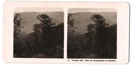 Stereo-Fotografie Ansicht Manebach / Thür., Blick vom Hermannstein