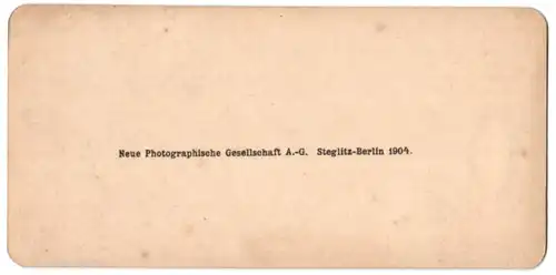 Stereo-Fotografie Neue Photographische Gesellschaft A.G., Berlin, Ansicht Ilsenburg / Harz, Blick zum Ort