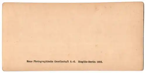 Stereo-Fotografie Neue Photographische Gesellschaft A.G., Berlin, Ansicht Dresden, Portal am Zwinger