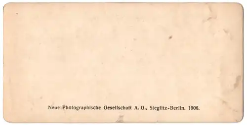 Stereo-Fotografie Neue Photographische Gesellschaft A.G., Berlin, Ansicht Schierke / Harz, Partie an der Bode