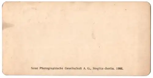 Stereo-Fotografie Neue Photographische Gesellschaft A.G., Berlin, Ansicht Schierke / Harz, Bodebrücke