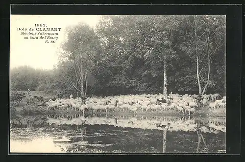 AK Clamart, Moutons s`abreuvant au bord de l`Etang