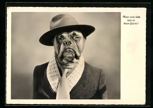 AK Mach doch bitte kein so böses Gesicht!, Boxer mit Hut und Krawatte