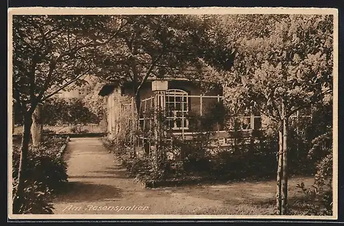 AK Erfurt, Ursulinenkloster, Am Rosenspalier