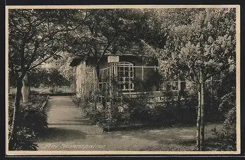 AK Erfurt, Ursulinenkloster, Am Rosenspalier