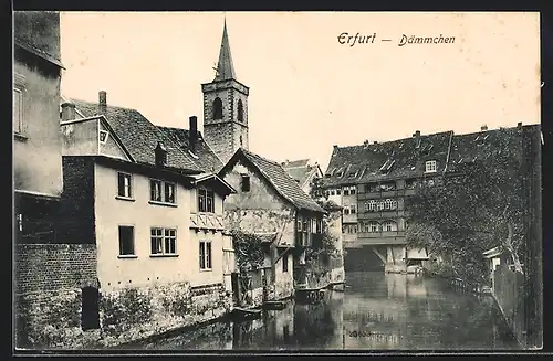 AK Erfurt, Dämmchen