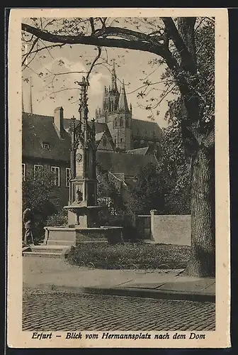 AK Erfurt, Blick vom Hermannsplatz nach dem Dom