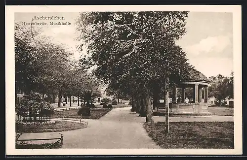 AK Aschersleben, Strasse Herrenbreite mit Musikhalle