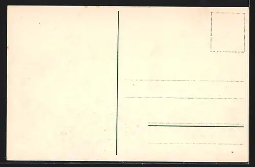 AK Karlsruhe, Blick vom Schlossturm auf das Schloss