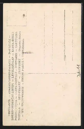 AK Musiker im Anzug mit einer Zither