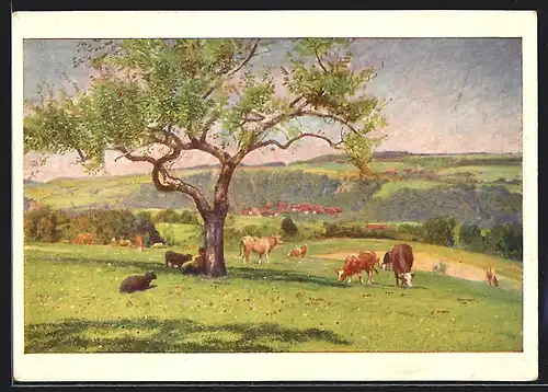 Künstler-AK Pro Juventute, September, Kühe weiden auf der Wiese