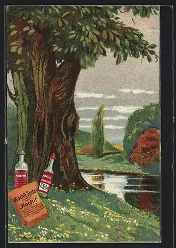 AK Kochit Soda Reklame, Flaschen auf einer Frühlingswiese
