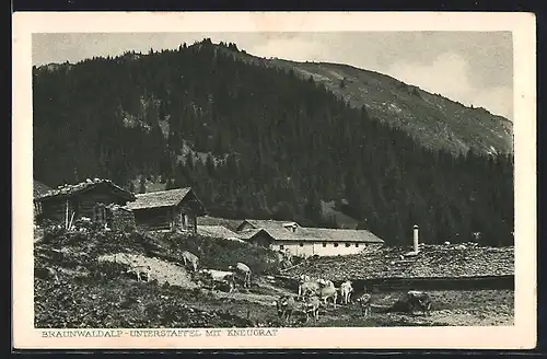 AK Braunwald, Braunwaldalp mit weidenden Kühen, Unterstaffel und Kneugrat