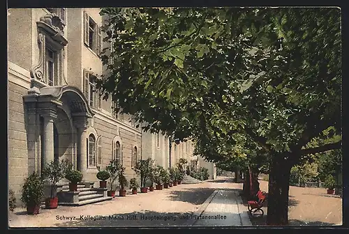 AK Schwyz, Kollegium Maria Hilf, Haupteingang und Platanenallee