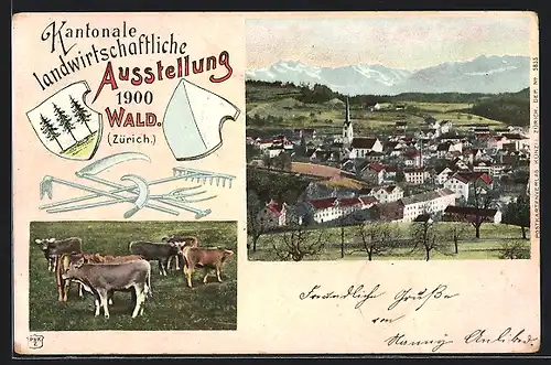 AK Wald, Kantonale Landwirtschaftliche Ausstellung 1900, Ort & Kühe
