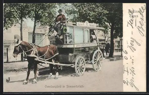 AK Berlin, Omnibuspferd in Sommertoilette