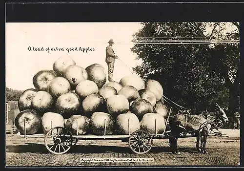 AK A load of extra good Apples, Riesige Äpfel, optische Täuschung