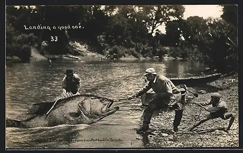 AK Landing a good one, kanadische Angler ziehen einen Riesenfisch an Land