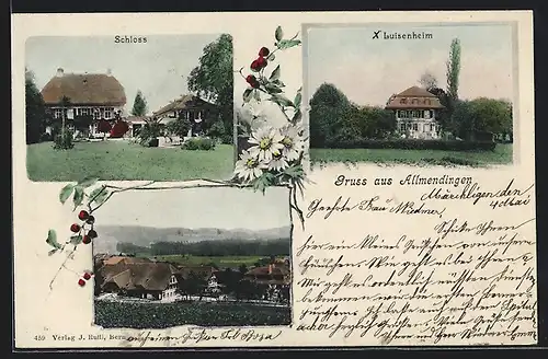 AK Allmendingen, Luisenheim, Schloss, Teilansicht aus der Vogelschau