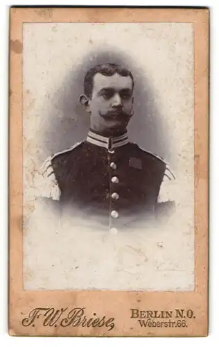 Fotografie F. W. Briese, Berlin, Soldat in Musiker Gardeuniform mit Mustasch