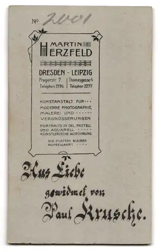 Fotografie Atelier Herzfeld, Dresden, junger Mann Paul Krusche im Anzug mit Fliege