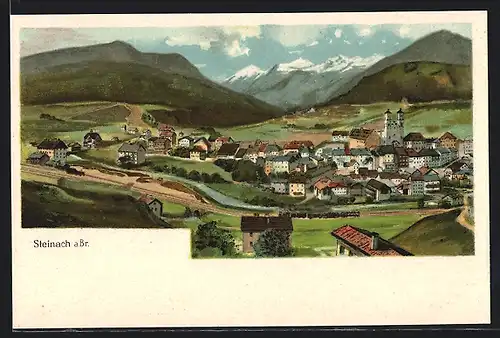 AK Steinach a. Br., Panoramablick auf den Ort