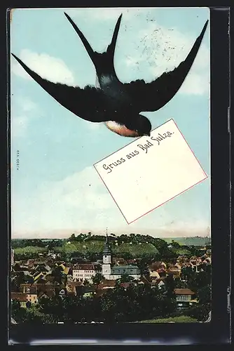 AK Bad Sulza, Ortsansicht mit fliegender Schwalbe