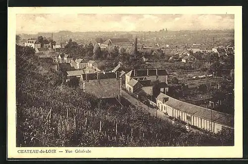 AK Chateau-du-Loir, Vue générale