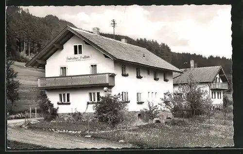 AK Bodenmais / Bayr. Wald, Hotel-Pension Hochzeit