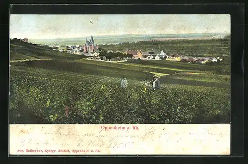 AK Oppenheim / Rhein, Ortsansicht mit Blick auf die Kirche, Arbeiter im Weinberg