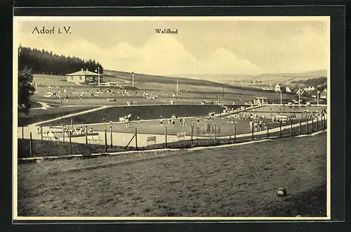 AK Adorf i. V., Waldbad mit Besuchern