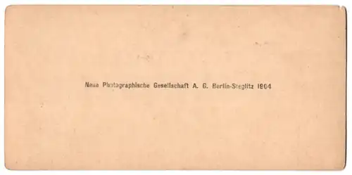 Stereo-Fotografie Neue Photographische Gesellschaft A.G., Berlin, Ansicht Dresden, Palaisteich im Winter